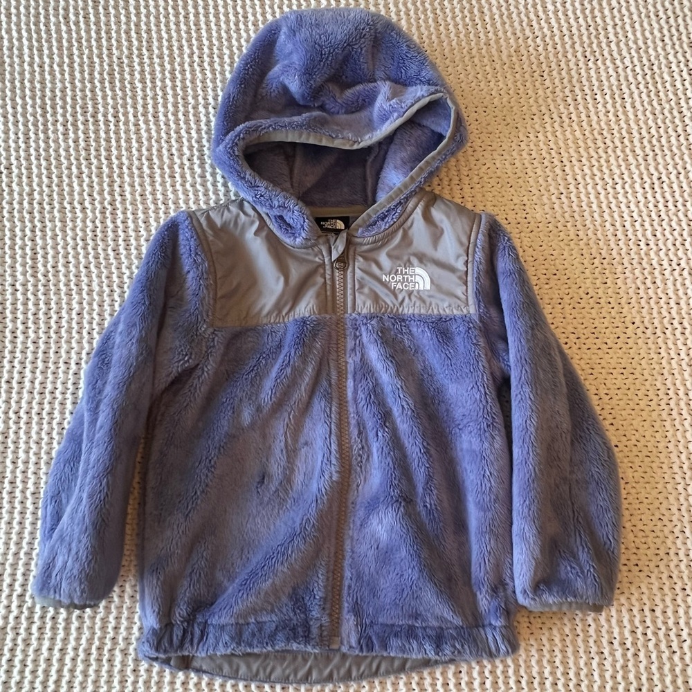 Like Nee The North Face Ozo Zip Fleece in Purple and Gray